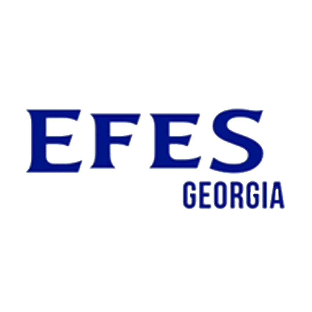 EFES-GEO