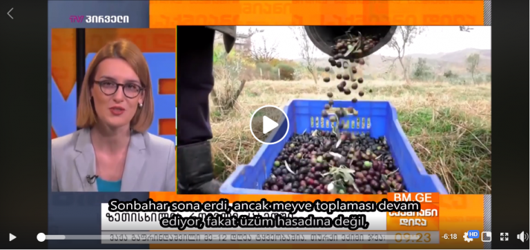 GÜRTİAD – GEOLİVE