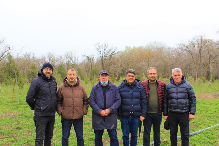 21 Mart Uluslararası Ormanlar Günü