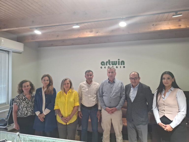 Artwin Georgia ziyareti