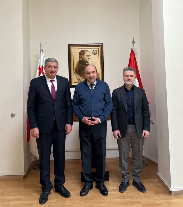 შეხვედრა თურქეთის რესპუბლიკის საელჩოს წარმომადგენლებთან
